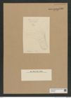Diatomeae indet. Zeichnungen Sammlung Grunow Nr. 7561 (NHMW-BOT-W0376708)